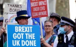 Anti-Brexit activists demonstrate on 5th anniversary of EU membership referendum
