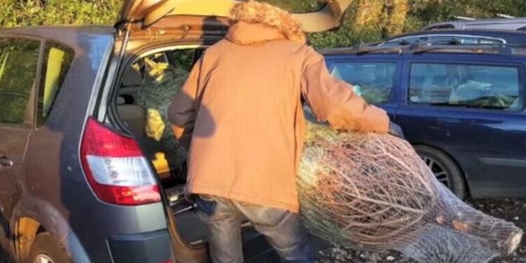 مخالفة قد تصل خمسة آلاف جنيه لمن يضع شجرة الميلاد بسيارته (المصدر:Manchester Evening News)