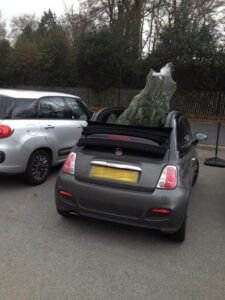 مخالفة قد تصل خمسة آلاف جنيه لمن يضع شجرة الميلاد بسيارته