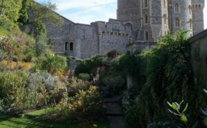 فرصة عمل شاغرة لمهنة بستاني بقصر الملكة إليزابيث