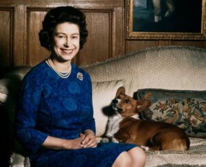 أغرب قصص طعام الملكة إليزابيث وكلابها مع كبير خدمها السابق (المصدر: Elbalad)
