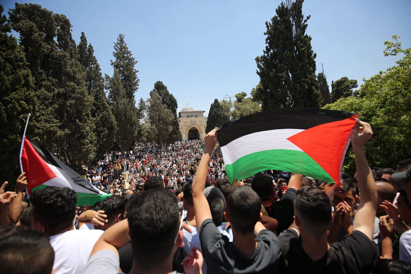  العلم الفلسطيني 