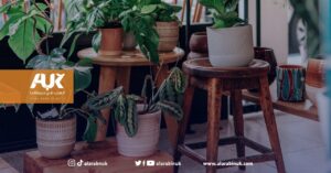 كيفية الحفاظ على النباتات المنزلية أثناء الذهاب بعطلة ؟ (AUK)