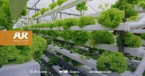 أكبر مزرعة عمودية في العالم