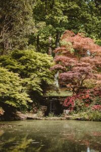 حديقة Exbury Gardens