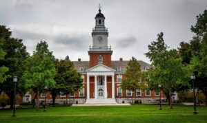 أكثر 5 تخصصات جامعية مطلوبة في سوق العمل البريطاني لعام 2025