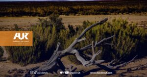 الجفاف يقضي على الحياة البرية والغابات (AUK)