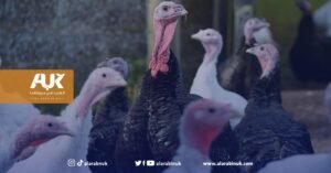 أنفلونزا الطيور في بريطانيا