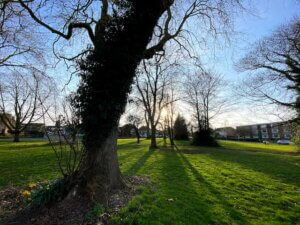 أفضل الحدائق العامة التي يمكنك زيارتها في بريطانيا لعام 2024