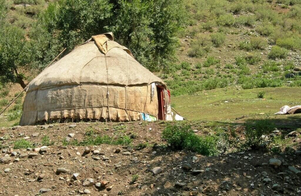 القطن الصيني