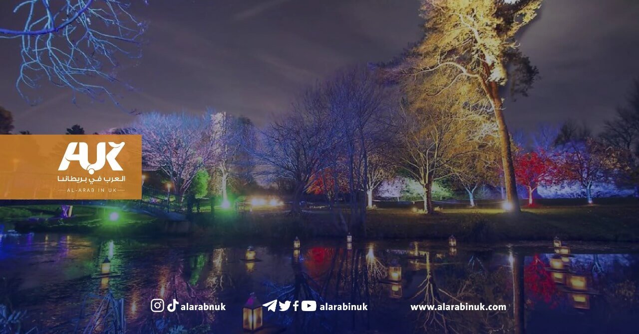 يومي 12+13 نوفمبر 2022