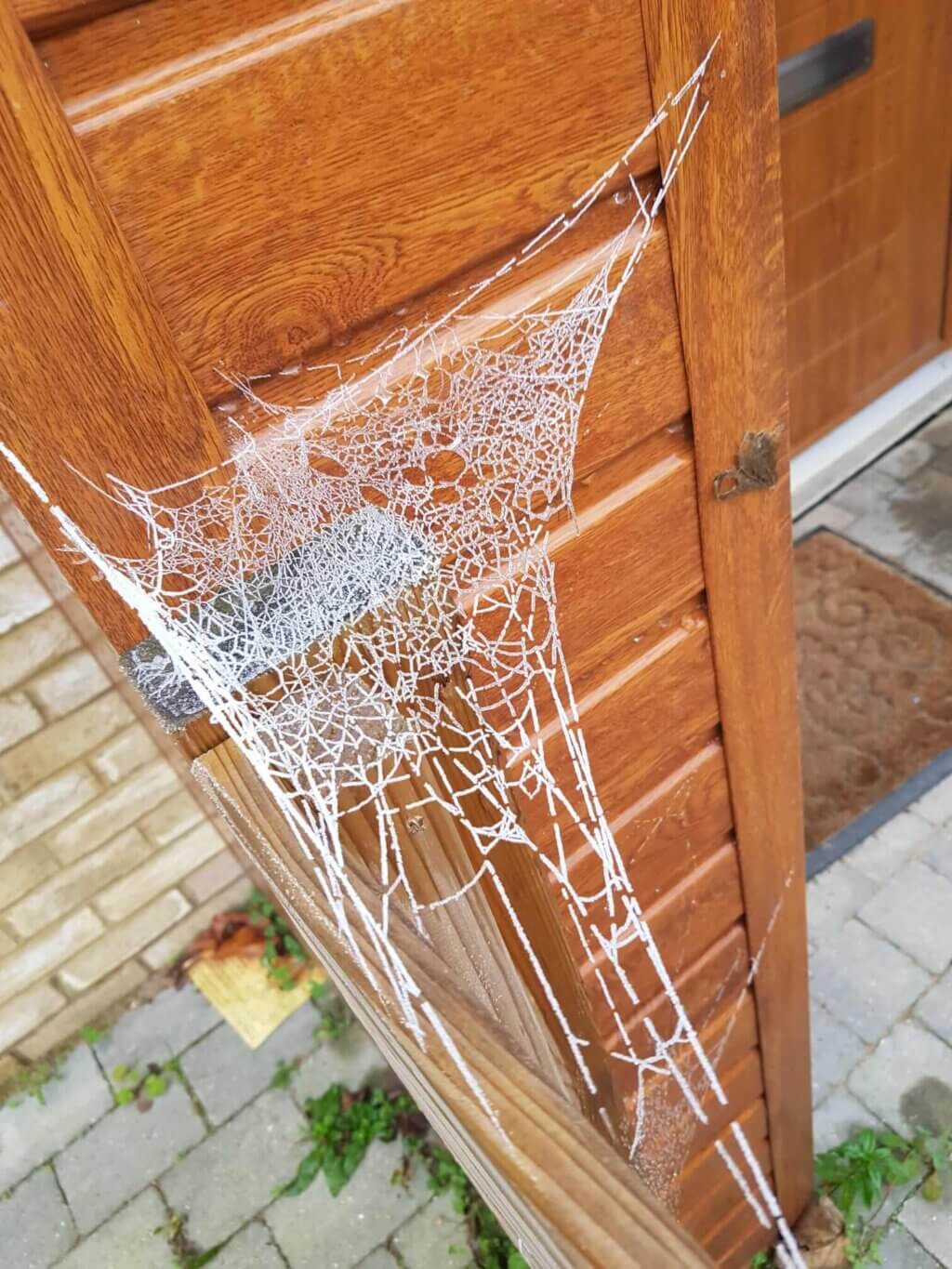 The first snow wave in UK