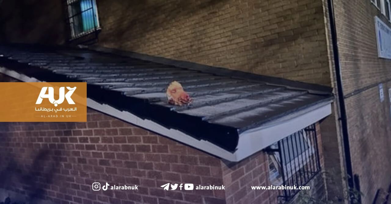 اعتقال رجلين وضعا رأس خنزير على سقف مسجد في بريطانيا
