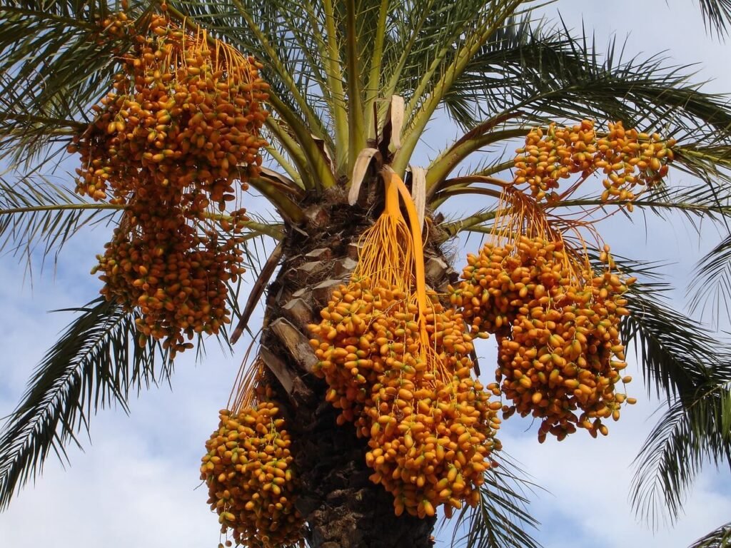 المسلمين في بريطانيا
