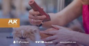 تحذيرات من جهة مجهولة تعمل على حلاقة شعر القطط