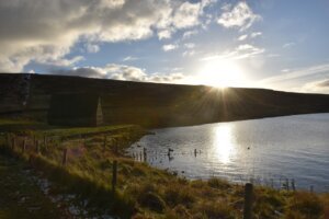 العطل الرسمية