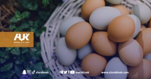 ثلث الأطعمة النباتية في بريطانيا تحوي منتجات حيوانية!