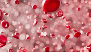 مصافحتك