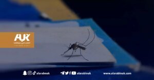 WhatsApp-Image-2023-07-03-at-10.43.36