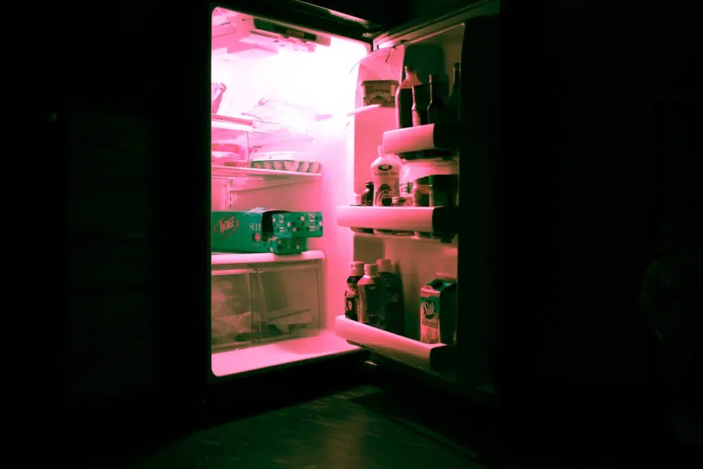 الثلاجة والفريزر