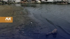 شركات المياه في إنجلترا وويلز تواجه تحقيقًا بسبب مياه الصرف الصحي