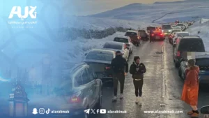 تيك توك وراء أزمة وقوف السيارات العشوائي في بيك ديستريكت