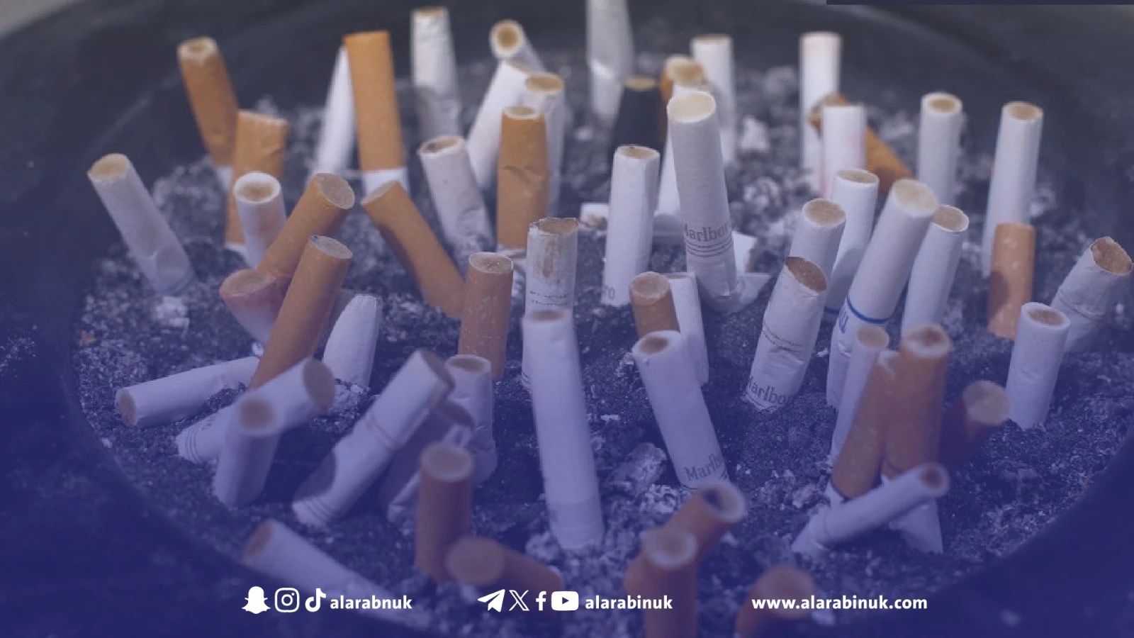 دراسة