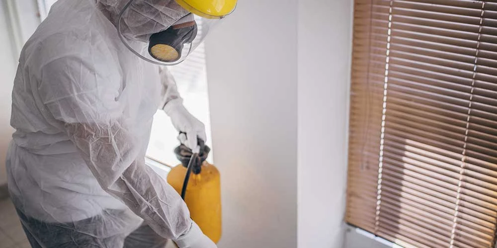 تفشّي الفئران في بعض مناطق بريطانيا عام 2025.. تعرّف على أكثر المناطق تضررًا