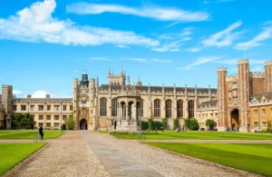 أكثر 5 تخصصات جامعية مطلوبة في سوق العمل البريطاني لعام 2025