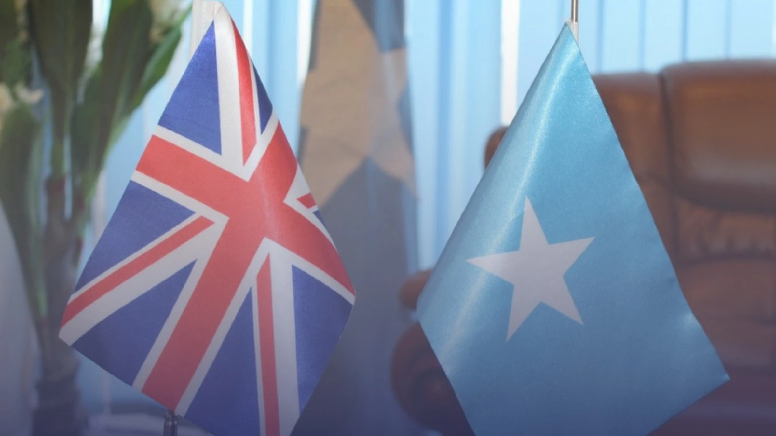 WhatsApp Image 2025-10-01 at 11.50.20 AM