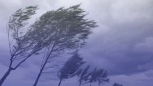 تحذيرات من رياح عاتية تضرب أجزاء واسعة من بريطانيا خلال الأيام المقبلة