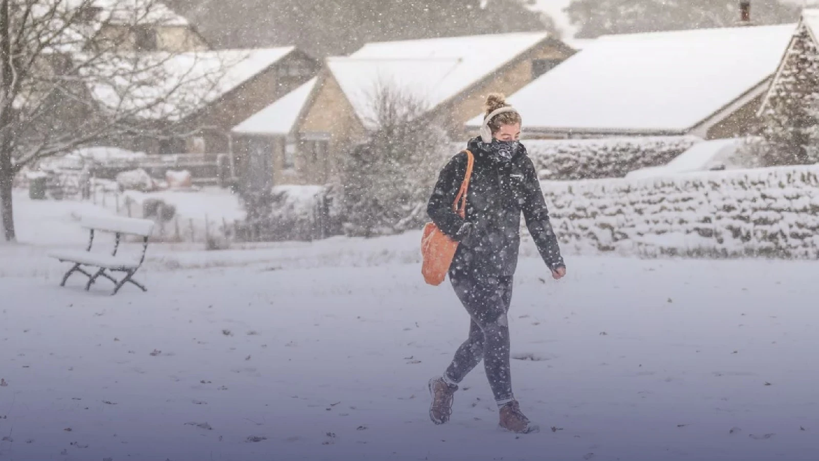 WhatsApp Image 2025-10-31 at 09.01.07