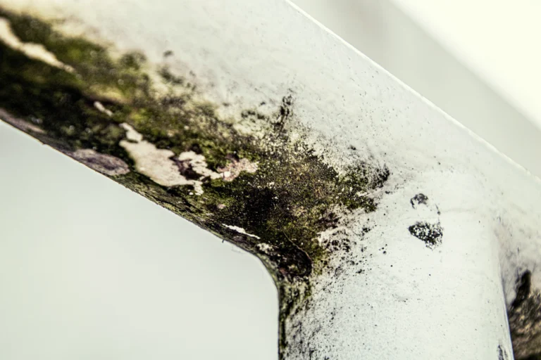 michael-schaffler-_6Ae1LgFFFA-unsplash