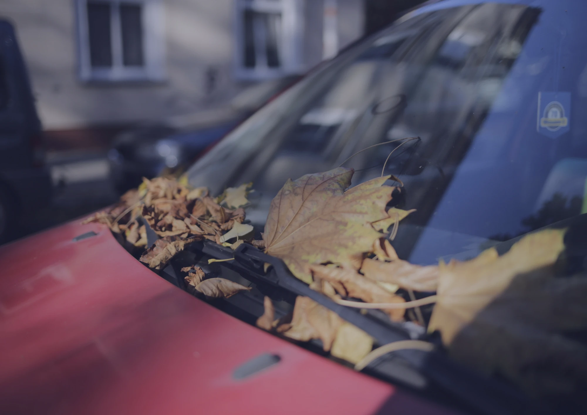 سر غريب: كيف يساعد كريم الحلاقة السائقين البريطانيين في نوفمبر؟