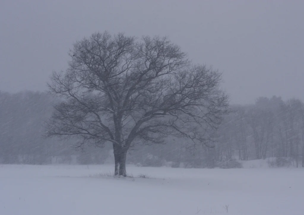 تحذيرات صحية من موجة برد شديدة تضرب معظم مناطق إنجلترا هذا الأسبوع