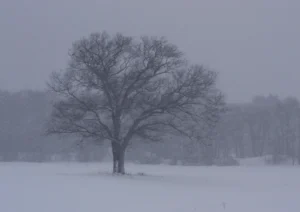 تحذيرات صحية من موجة برد شديدة تضرب معظم مناطق إنجلترا هذا الأسبوع