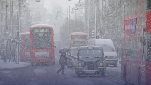 WhatsApp Image 2025-11-07 at 10.01.22