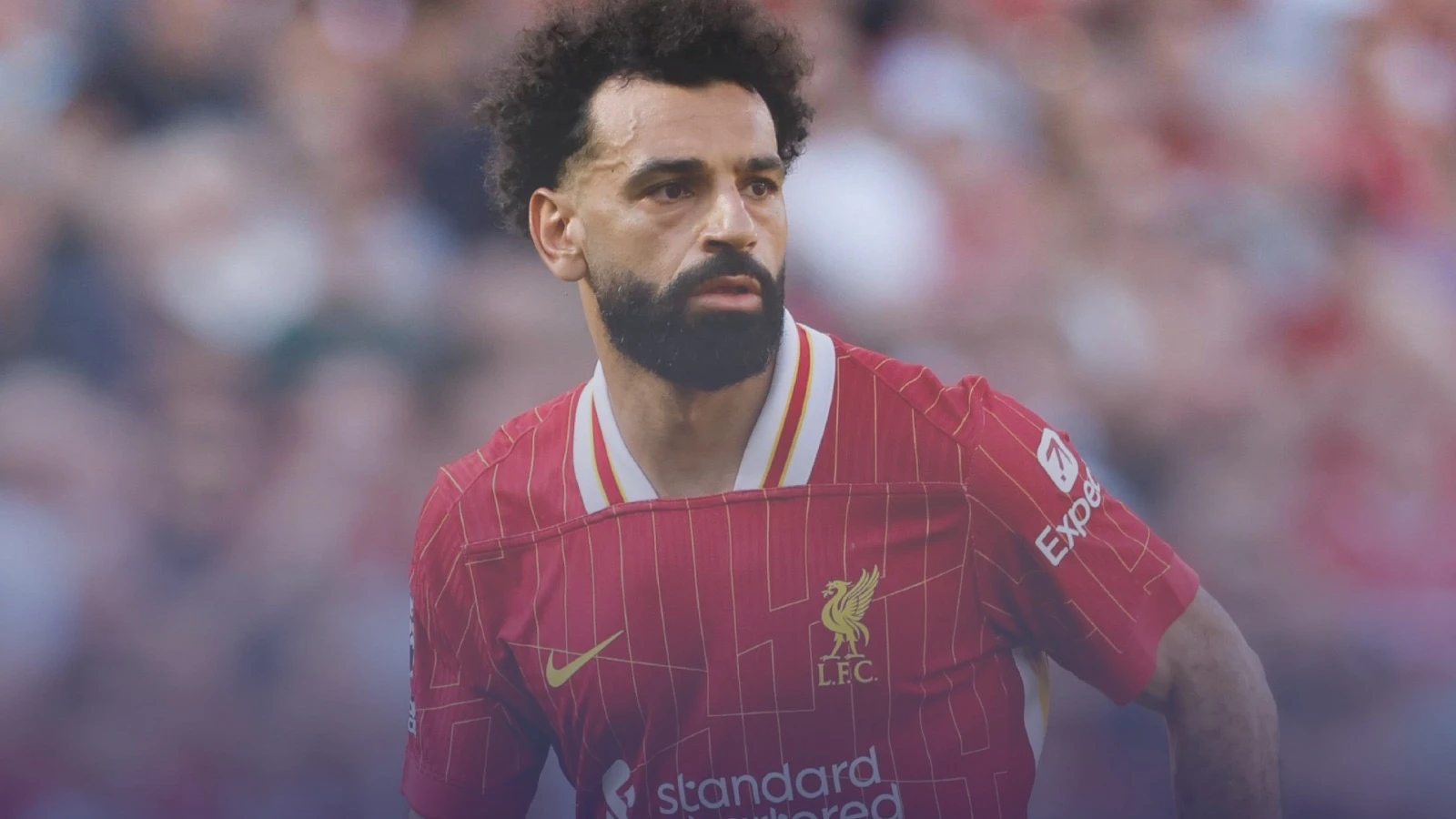 زميل محمد صلاح يهاجم الإعلام دفاعًا عن نجم ليفربول
