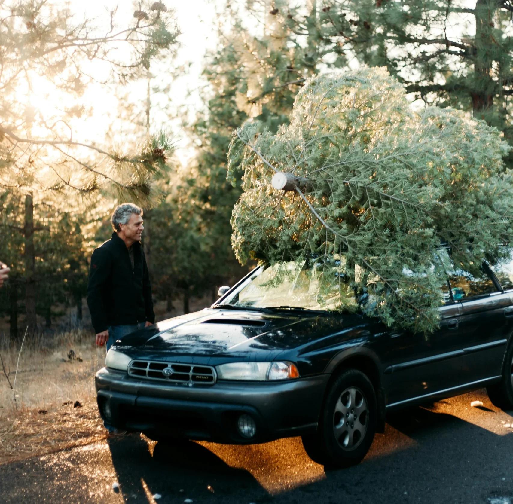 شجرة عيد الميلاد, قواعد المرور في بريطانيا, مخالفات القيادة, موسم الأعياد, نصائح للسائقين