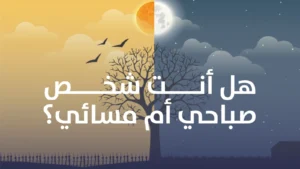 WhatsApp Image 2025-12-06 at 09.49.56