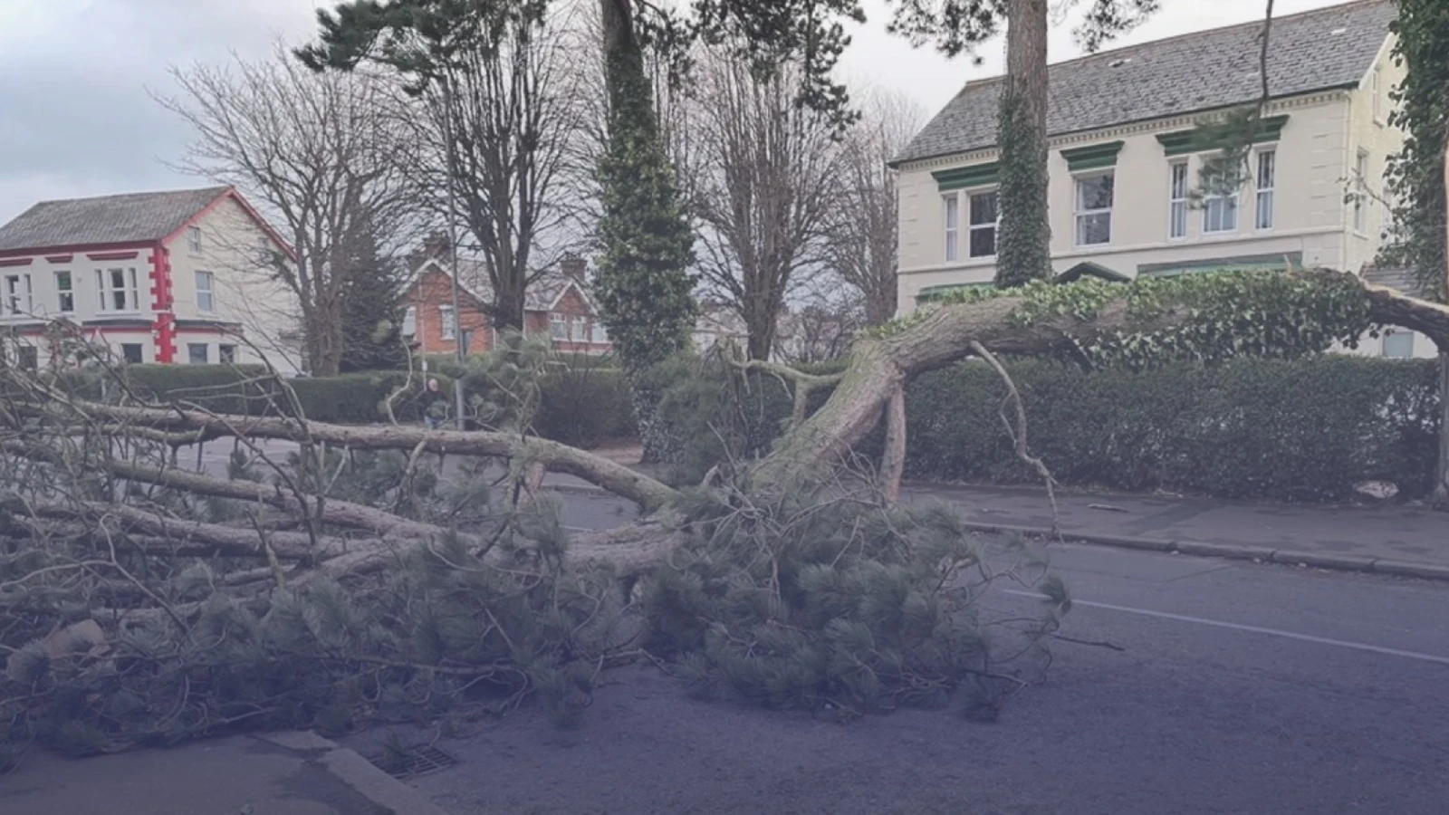 كيف تحمي نفسك ومنزلك أثناء العواصف؟ دليل شامل للأمان والطوارئ