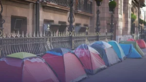 WhatsApp Image 2025-12-19 at 9.46.56 AM (1)