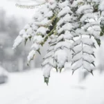 طقس بريطانيا: هذه المناطق على موعد مع الثلوج قبل نهاية يناير 2026