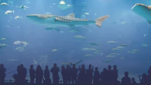 أفضل مغامرات وفعاليات يناير 2026 في بريطانيا