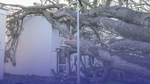 آلاف المنازل في كورنوال بلا كهرباء أو ماء بعد عاصفة غوريتّي