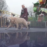 طقس بريطانيا: تحذيرات صفراء من أمطار غزيرة ومخاوف من فيضانات