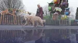 طقس بريطانيا: تحذيرات صفراء من أمطار غزيرة ومخاوف من فيضانات