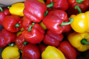 خبراء تغذية يكشفون لون الفلفل الأفضل لتعزيز المناعة طبيعيًا