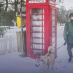 توقعات بتساقط الثلوج على لندن خمسة أيام الأسبوع المقبل