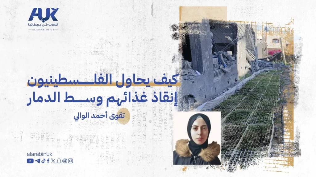 كيف يحاول الفلسطينيون إنقاذ غذائهم وسط الدمار